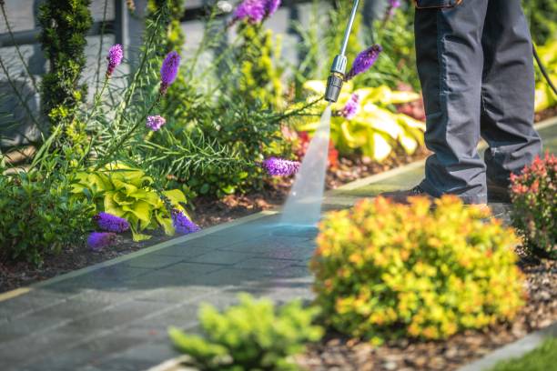 Best Patio and Deck Pressure Washing  in Greenville, MI